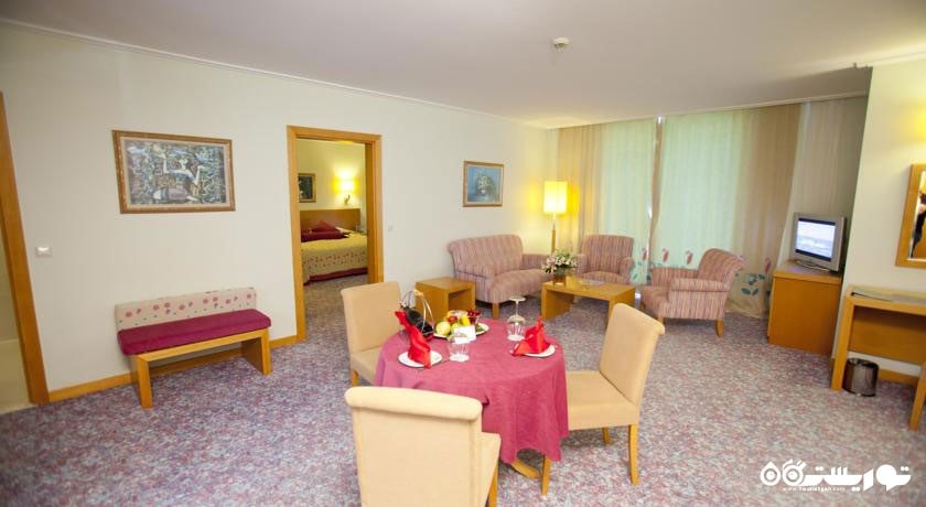 محوطه نشیمن سوئیت جونیور